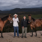 The Cape Horse… A Living Monument